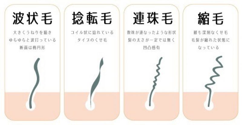 そもそも【くせ毛】ってなんなの？？
