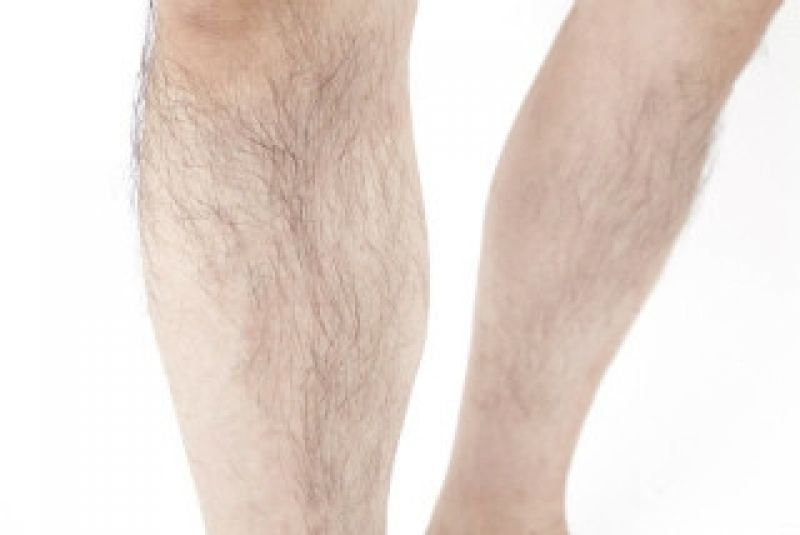 毛の限界！？ 何で体毛って一定の長さで止まるの？｜学芸大学駅から